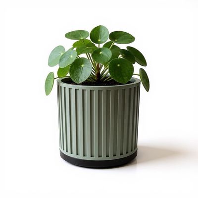Ribbed Planter with Drainage Tray, Modern Fluted Plant Pot, Sage Green Indoor Planter, Housewarming Gift – photo 11