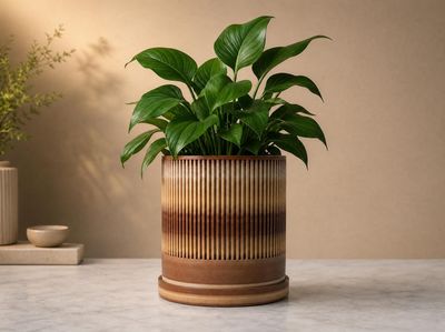 Ribbed Planter with Drip Tray – photo 2
