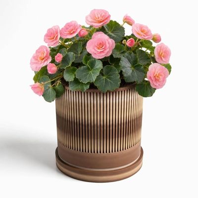 Ribbed Planter with Drip Tray – photo 4