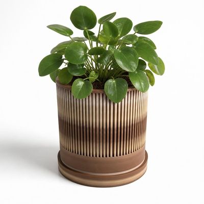 Ribbed Planter with Drip Tray – photo 6